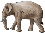Premium Vector | Indian elephant vector white background